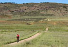 Natural Areas