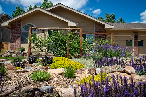 A house with a xeric front yard, featuring native plants.