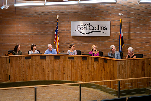 A photo of City Council during a meeting.