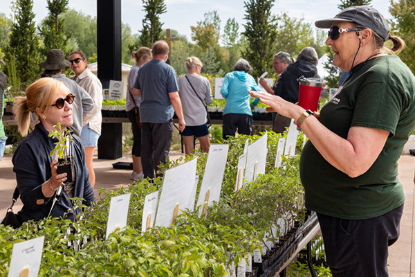 A Gardens on Spring Creek volunteer tells a guest about plants at the 2025 plant sale.