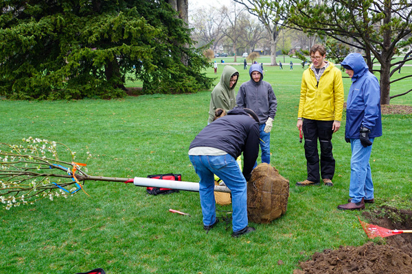 Planting a tree at City Park