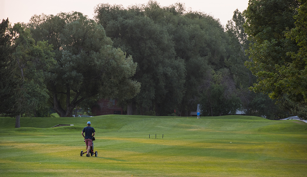 City Park Nine Public Golf Course City of Fort Collins