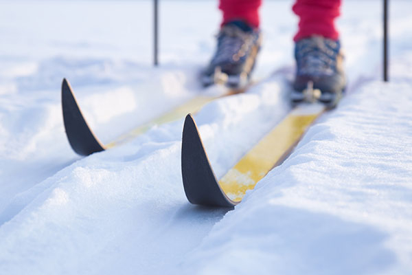 cross country skis on snow