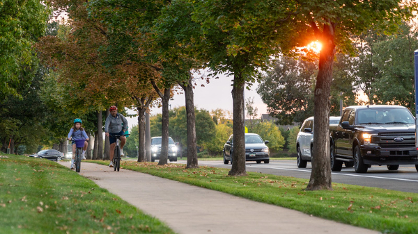 An adult and a child biking on a sidewalk lined with trees