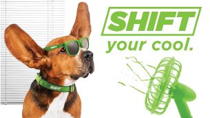 Shift your Cool