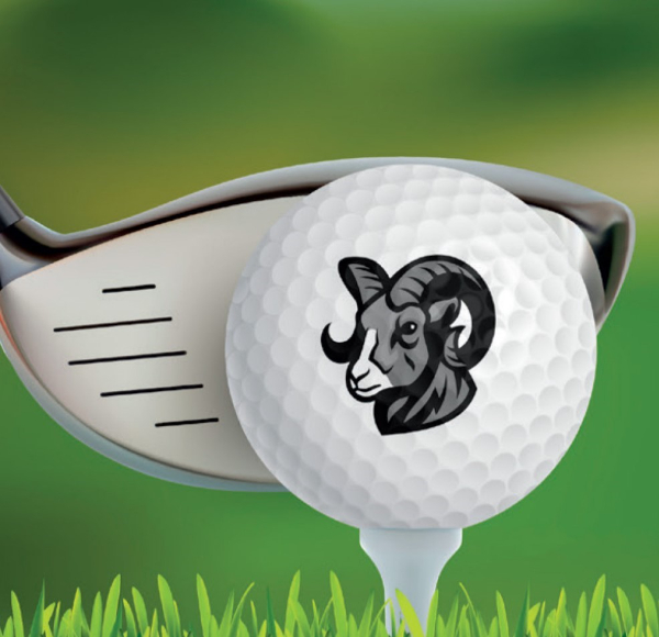Golf ball and club