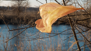 Spotlight image: Share Your Thoughts on Plastics Policy
