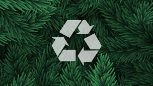Spotlight image: Holiday Recyling