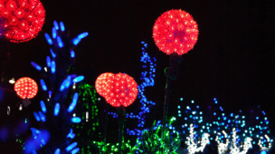 Spotlight image: Garden of Lights