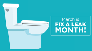Spotlight image: Fix a Leak Month
