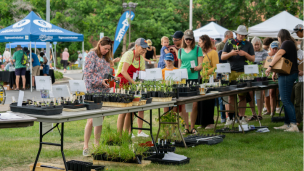 Spotlight image: Xeriscape Garden Party