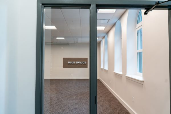 360 Tour Link Blue Spruce