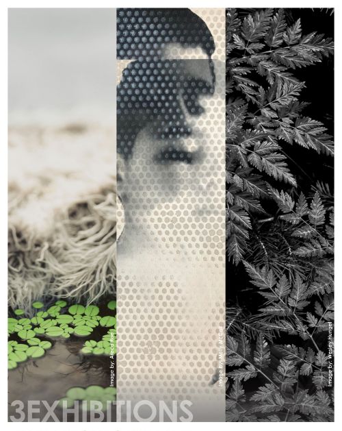 Center for Fine Art Photography, 3 Exhibitions, August 7-September 7