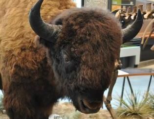 Fort Collins Museum Of Discovery (FCMoD)