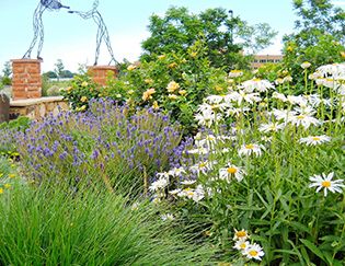 The Gardens On Spring Creek