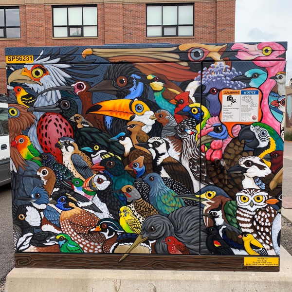 BirdsEye Transformer Cabinet Mural by Ren Burke