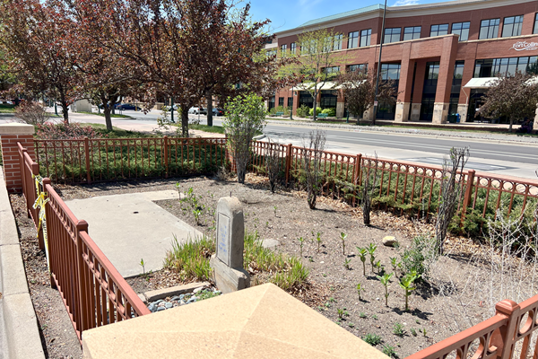 Annie's Grave and Garden, May 2025