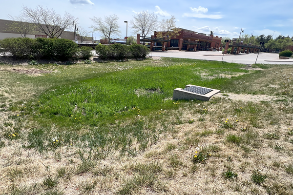 DTC Stormwater Basin