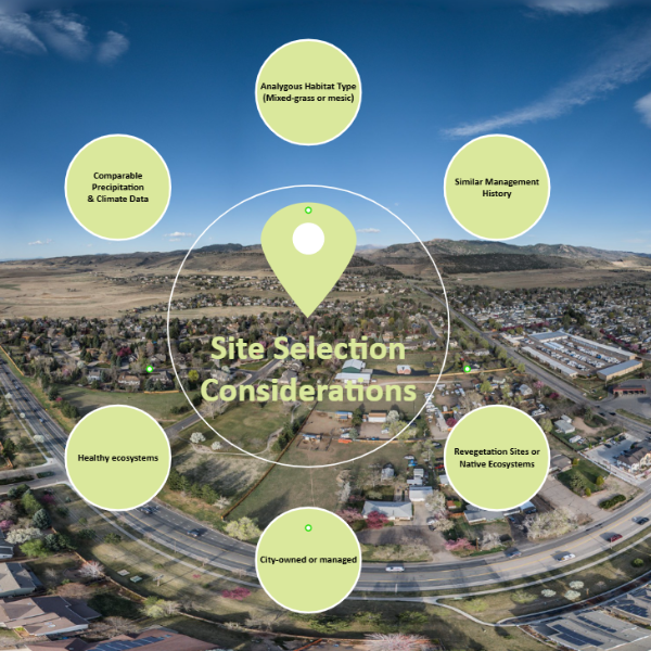 Graphic depicting considerations made during reference area site selection.
