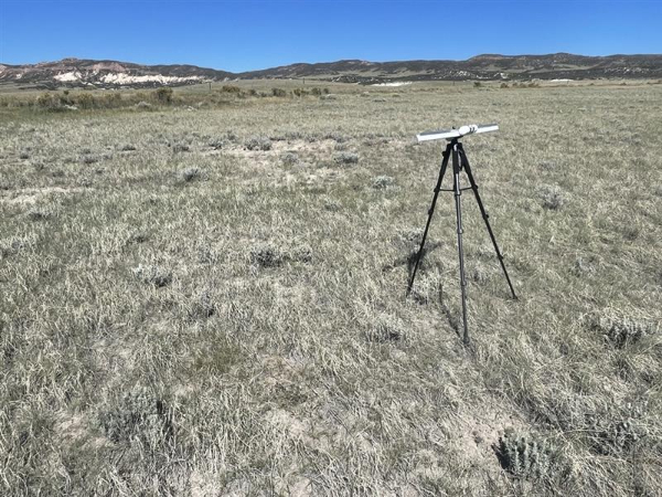 Line point intercept monitoring in a field