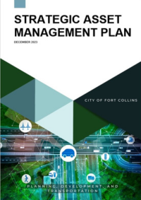 Organizational Level Plan