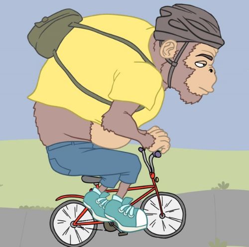 Online Transportation Module