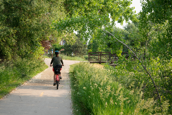 Person riding their bike in the springtime on the Spring Creek Trail.