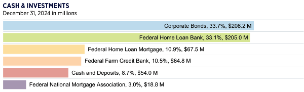 chart of 2024 cash and investment balances