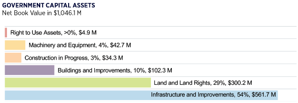chart describing 2024 government capital assets