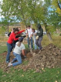 Group of people planting a tree
