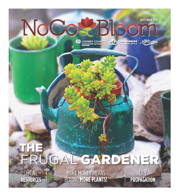 NoCo Bloom September 2022 Cover