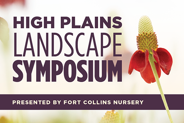high plains text with mexican hat coneflower