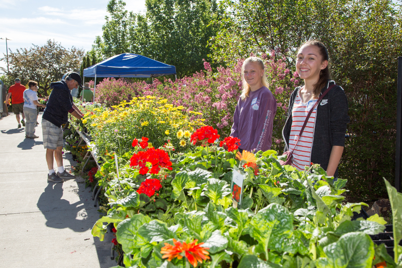 Volunteers at The Gardens