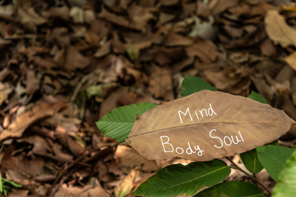 leaf with Mind, Body, Soul written on it