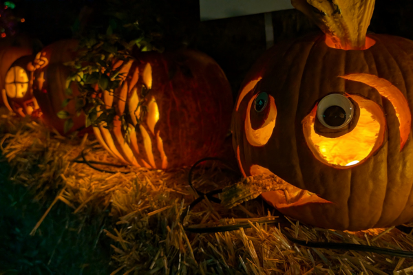 Carved Pumpkins Contest
