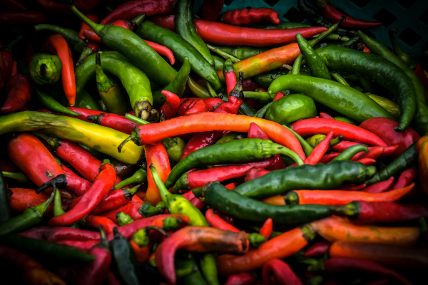 Adult Classes | The Gardens on Spring Creek