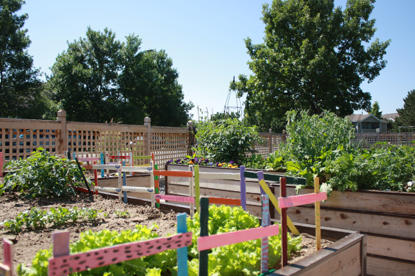 community garden at the Senior Center