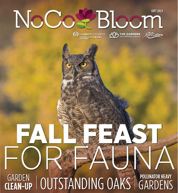 NoCo Bloom May 2023 Cover