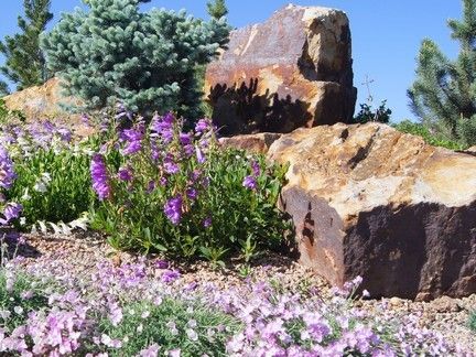 rock garden with plants in the foreground
