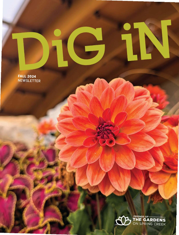 https://www.fcgov.com/gardens/files/dig-in-summer-2024-web.pdf