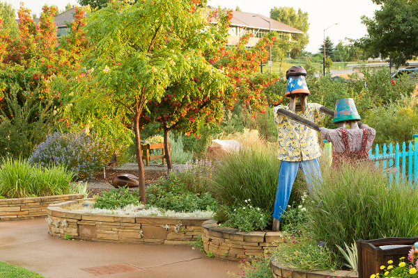 Our Gardens The Gardens On Spring Creek