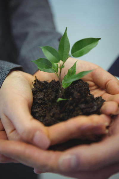 families planting together