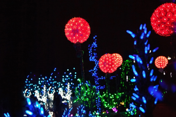 light up flower sculptures