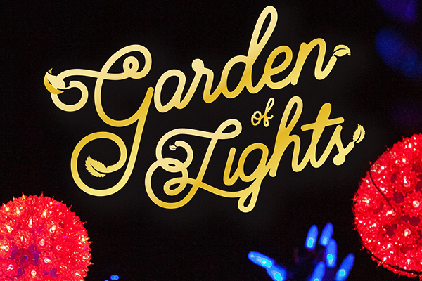 Garden of Lights