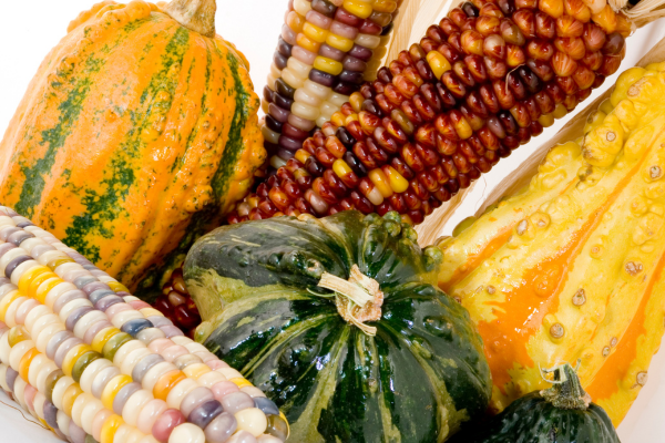 Corn and Squash