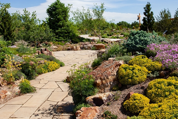 rock garden in bloom