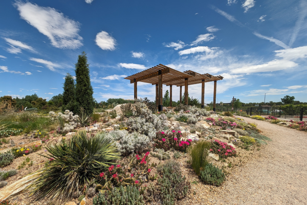 Undaunted Garden