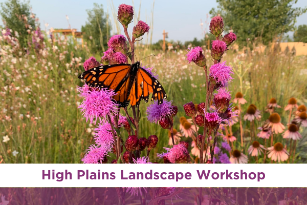 high plains landscape workshop