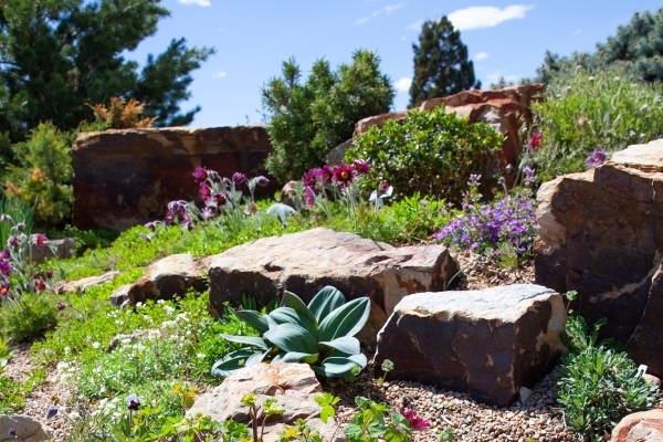Gardens landscape photo with rocks and flowers