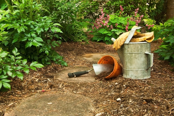 a watering can in a garden